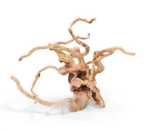 Aqua Madera Acuario Decorativa Tipo Spider - Raiz roja - Red Moor (40-60cm)