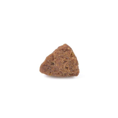 Arden Grange Puppy Junior - 6000 gr