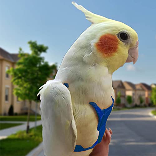 Arnés de loros ajustable para pájaros para mascotas, correa de cuerda de entrenamiento al aire libre, correa elástica antimordedura para pájaros, loros, cacatúas guacamayos (azul, M)