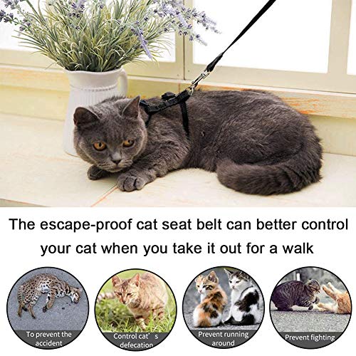 Arnés y Correa para Gato Collar Ajustable Antiescape Correas de Entrenamiento para Mascotas Pequeño y Gatito Caminata al Aire Libre (Negro)