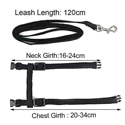 Arnés y Correa para Gato Collar Ajustable Antiescape Correas de Entrenamiento para Mascotas Pequeño y Gatito Caminata al Aire Libre (Negro)