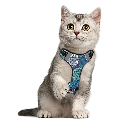Arnés y correa para mascotas oriental, diseño multicolor, pequeño para gatos y perros, a prueba de escapes, chaleco ajustable para perros, arnés para gatos y caminatas al aire libre