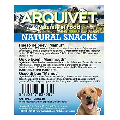 Arquivet Hueso de buey "Mamut" para perros - Snacks Naturales para perros - Snack dental canino - Chuches para perro - Golosinas para perro - Hueso masticable para perros