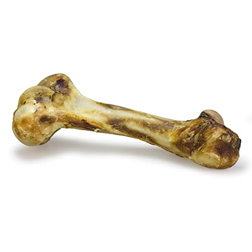 Arquivet Hueso de buey "Mamut" para perros - Snacks Naturales para perros - Snack dental canino - Chuches para perro - Golosinas para perro - Hueso masticable para perros