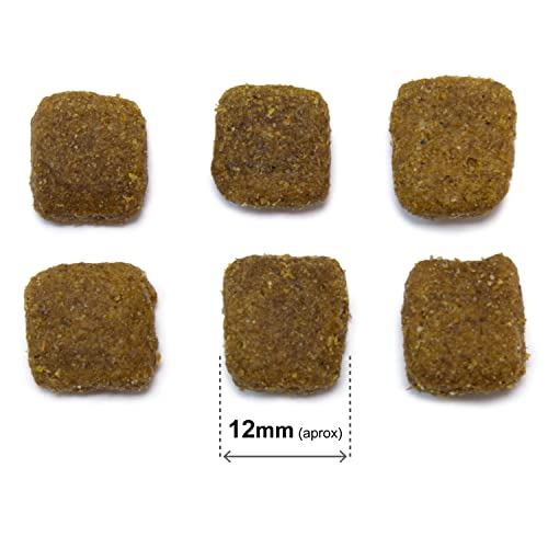 Arquivet Original Adult - Pienso para Perros Adultos - Cordero y arroz - Comida para Perros - Alimento seco para Perros - Alimentación Canina - Pienso Saludable - 12 kg