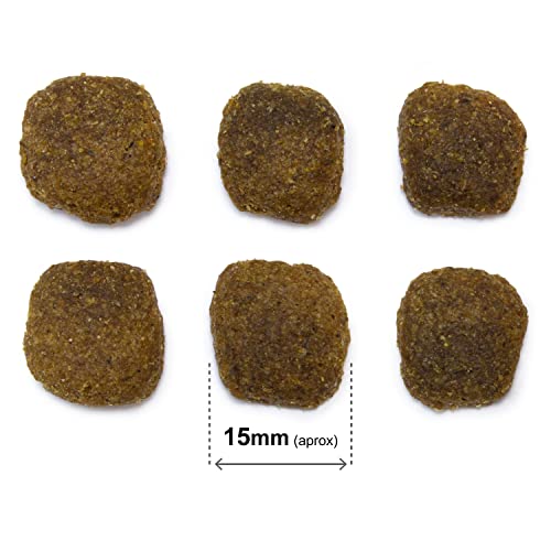 Arquivet Original Adult - Pienso para Perros Adultos - Salmón y arroz - Comida para Perros - Alimento seco para Perros - Alimentación Canina - Pienso Saludable - 12 kg