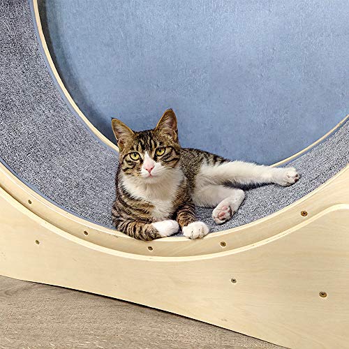 ßÃT Deportes Gato Mascota Caminadora Rueda para Correr Pequeño Gato Duradero Rodillo Rueda Deportes Domésticos Ardilla Gota