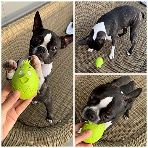 AVANZONA Pelota para Perros Cachorros, Forma de Huevo, Rugby de Goma Natural, Juguete Durable Dental Masticable, Indestrucdible, Elásticidad para Perros Pequeños y Medianos. 10cm, Verde