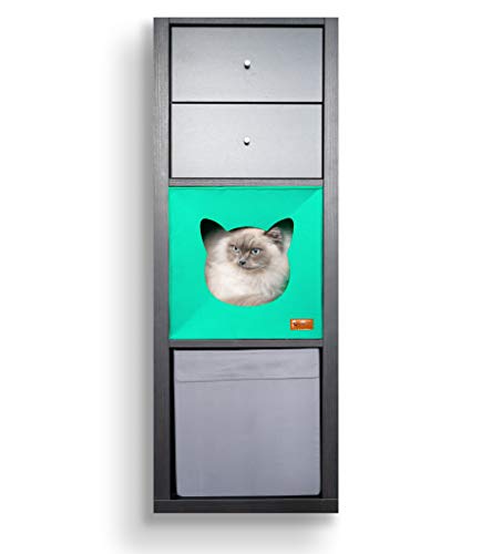 AVEELO Cueva para gatos de fieltro con suelo antideslizante, apta para estantería IKEA Kallax y Expedit, con cojín extraíble, cueva de fieltro para gatos y perros pequeños, color turquesa