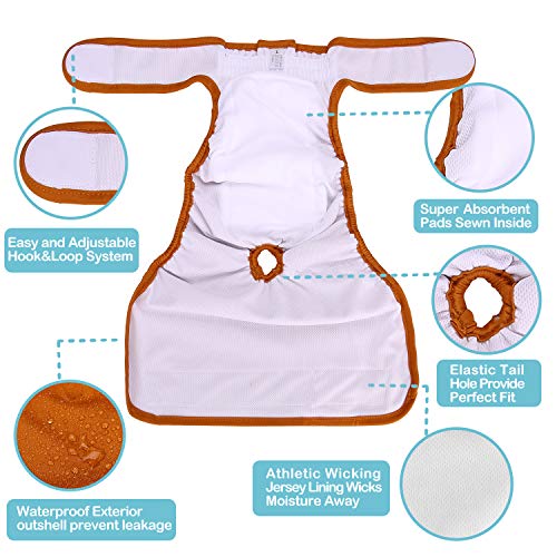 Avont 3 Packs - Pañales Lavables para Perras, Reutizables y Duraderos para Perros Hembra, Female Dog Diapers Altamente Absorbentes -M, 13"-19" Cintura, Negro/Marrón/Gris