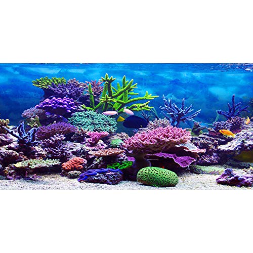 AWERT Fondo de acuario de vinilo duradero de 120 x 46 cm para fondo de acuario colorido coral tropical peces submarinos mundo pecera (no pegatina)