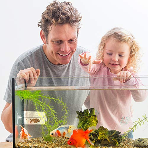 Balacoo 4 Unids Acuario Plato Alimentador de Camarones Tanque de Peces de Vidrio Cuencos de Alimentación Cuadrados Platos Transparentes Bandeja Reptiles Flotantes Dispositivo de Comida de