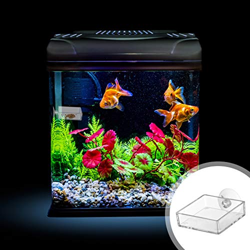 Balacoo 4 Unids Acuario Plato Alimentador de Camarones Tanque de Peces de Vidrio Cuencos de Alimentación Cuadrados Platos Transparentes Bandeja Reptiles Flotantes Dispositivo de Comida de