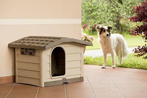 Bama Caseta para Perro, Estilo bungaló