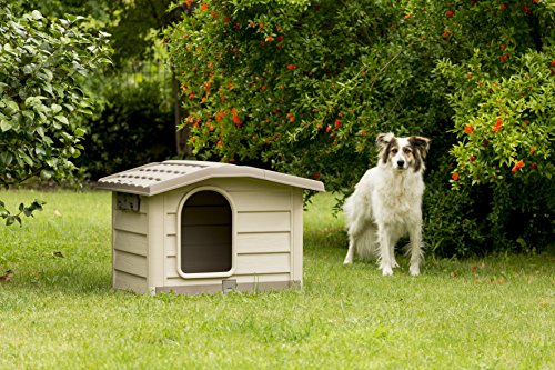 Bama Caseta para Perro, Estilo bungaló