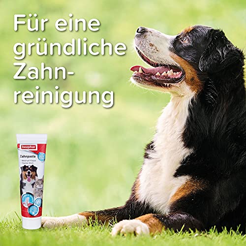 Beaphar Pasta de dientes Dog-a-Dent, 100 g