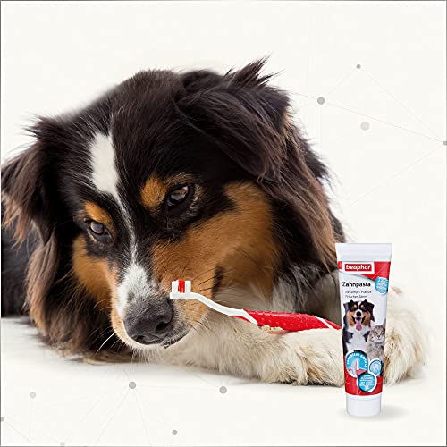 Beaphar Pasta de dientes Dog-a-Dent, 100 g