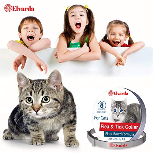 Beaphar Pulmosan 10 Ml