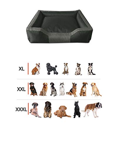 BedDog® Bruno Verde/Negro XXXL Aprox. 150x110cm colchón para Perro, 15 Colores, Cama para Perro, sofá para Perro, Cesta para Perro
