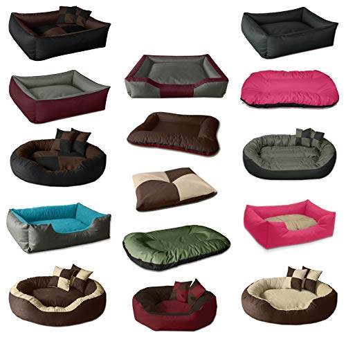 BedDog® Perro/Gato Cama Teddy S à XXXL, 14 Colores a Elegir, de Cordura y Microfibra, Cama para Perros Lavable, cojín para Perros, para Interiores y Exteriores, tamaño S, Negro/Gris