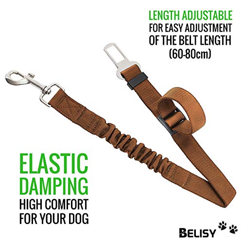 BELISY Correa Perro Coche en Nylon Elástico Ajustable – Cinturon Perro/Gato Coche – Correa Ajustable (60-80cm) para la Máxima Comodidad – Perros Grandes y Pequeños