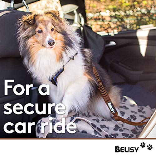BELISY Correa Perro Coche en Nylon Elástico Ajustable – Cinturon Perro/Gato Coche – Correa Ajustable (60-80cm) para la Máxima Comodidad – Perros Grandes y Pequeños