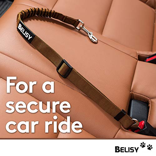 BELISY Correa Perro Coche en Nylon Elástico Ajustable – Cinturon Perro/Gato Coche – Correa Ajustable (60-80cm) para la Máxima Comodidad – Perros Grandes y Pequeños