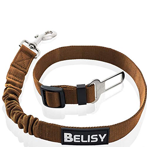BELISY Correa Perro Coche en Nylon Elástico Ajustable – Cinturon Perro/Gato Coche – Correa Ajustable (60-80cm) para la Máxima Comodidad – Perros Grandes y Pequeños