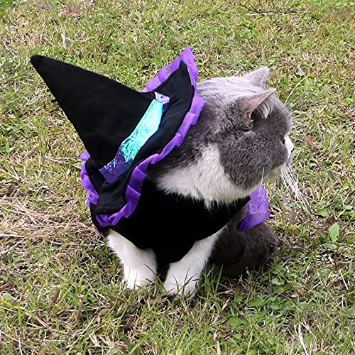 BELUAPI Disfraz de Halloween para mascotas, disfraz de mago para disfraz de cosplay para mascotas con sombrero de mago para perro, gato y cachorro (pequeño)