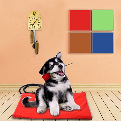 Berocia cama perro mediano gato mascota colchoneta manta Cojín de calefacción Cama eléctrica animal antiarañazos manta electrica Protección de sobrecalentamiento (Medio 30 x 40 cm)