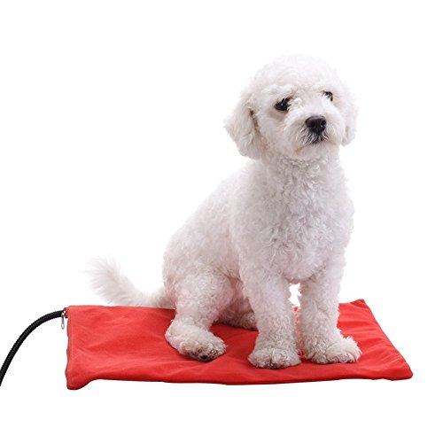 Berocia cama perro mediano gato mascota colchoneta manta Cojín de calefacción Cama eléctrica animal antiarañazos manta electrica Protección de sobrecalentamiento (Medio 30 x 40 cm)