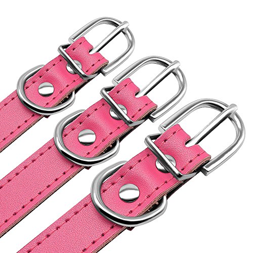 BERRY - Collar para Perro o Gato Acolchado de Piel sintética Suave, Color Azul/Rojo/Negro/Rosa, XS/S/M