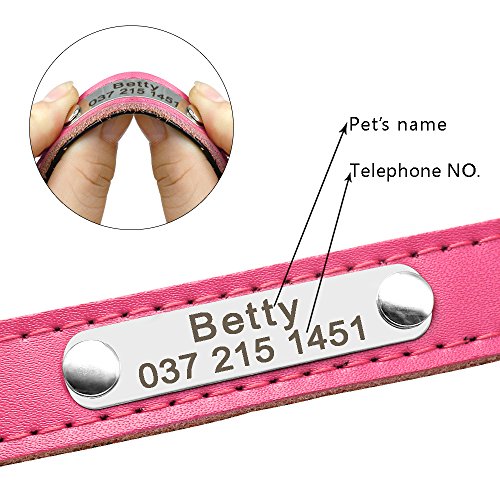 BERRY - Collar para Perro o Gato Acolchado de Piel sintética Suave, Color Azul/Rojo/Negro/Rosa, XS/S/M