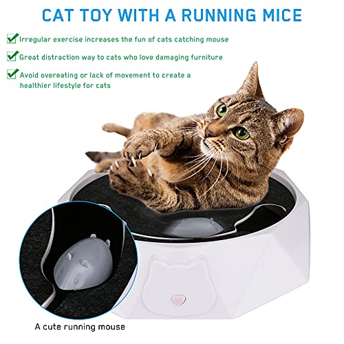 BestFire Cat Tease Toy Pet Juguete eléctrico para Gatos Juguete Interactivo para Gatitos Juguetes Divertidos 2 Modos Juguete para Pista de Gatito con ratón Giratorio