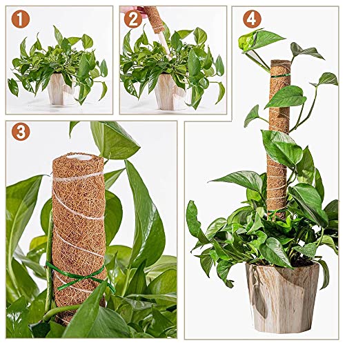 Bilivry Palo de Tótem de Coco: 40cm Palo de Musgo de Coco | Moss Pole para Extensión de Plantas Trepadoras, con Brida de Cables - Etiquetas - Cuerda de Yute | 2 Soportes Estacas de jardín