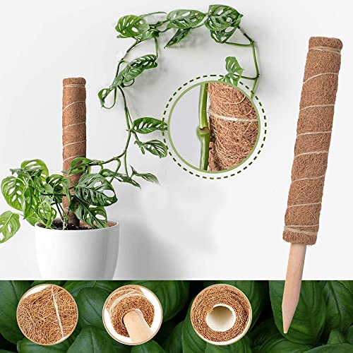 Bilivry Palo de Tótem de Coco: 40cm Palo de Musgo de Coco | Moss Pole para Extensión de Plantas Trepadoras, con Brida de Cables - Etiquetas - Cuerda de Yute | 2 Soportes Estacas de jardín