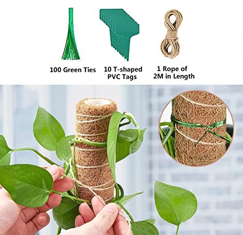 Bilivry Palo de Tótem de Coco: 40cm Palo de Musgo de Coco | Moss Pole para Extensión de Plantas Trepadoras, con Brida de Cables - Etiquetas - Cuerda de Yute | 2 Soportes Estacas de jardín