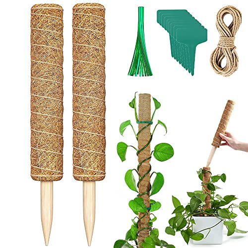 Bilivry Palo de Tótem de Coco: 40cm Palo de Musgo de Coco | Moss Pole para Extensión de Plantas Trepadoras, con Brida de Cables - Etiquetas - Cuerda de Yute | 2 Soportes Estacas de jardín