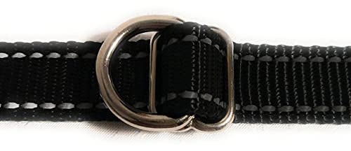 BINEACTIV Correa para perros, correa de guía, correa manos libres, correa para correr, correa de varias longitudes, universal, costuras reflectantes, acabado robusto (1.Negro)