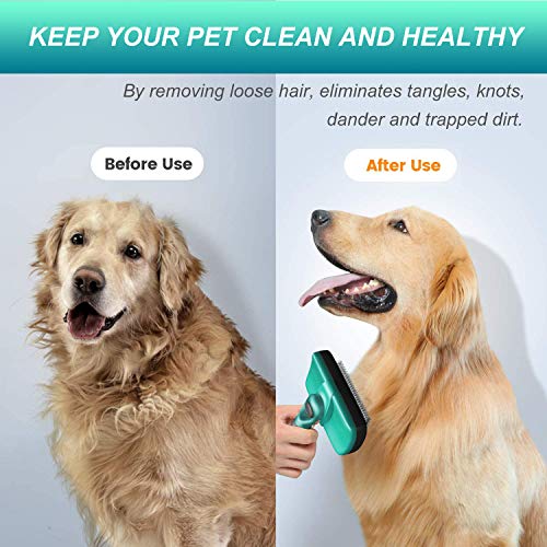 Bingobang Cepillo para mascotas para perros y gatos para pelo largo, elimina el 95% de los pelos muertos y el pelo suelto, adecuado para perros y gatos de pelo medio y largo (verde)