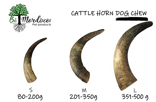 Bio Mordiscos Mordedor de Cuerno de Vacuno para Perros – 100% Natural (S 80-200g)