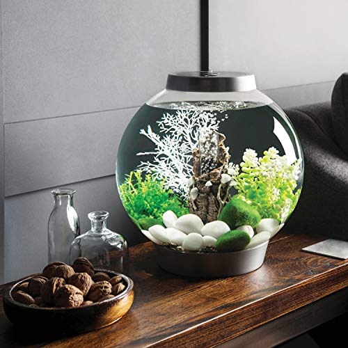 biOrb Baby Acuario, 30 x 32 cm, Black P