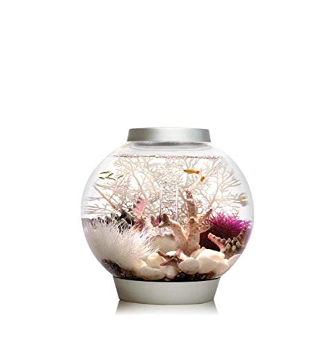 biOrb Baby Acuario, 30 x 32 cm, Black P
