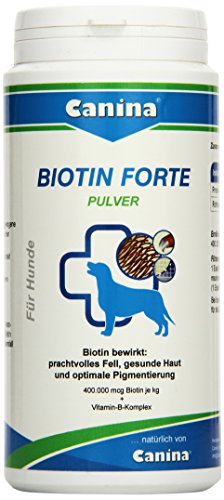 Biotin Forte Pulver 200g