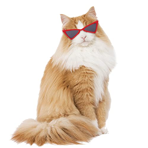 bismarckbeer Gafas de Sol Mascotas Divertidas Mascotas Gato Gafas de Sol Gafas de Sol Suministros fáciles de Transportar Larga Vida útil Rojo Negro