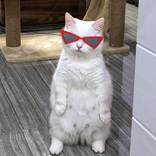 bismarckbeer Gafas de Sol Mascotas Divertidas Mascotas Gato Gafas de Sol Gafas de Sol Suministros fáciles de Transportar Larga Vida útil Rojo Negro
