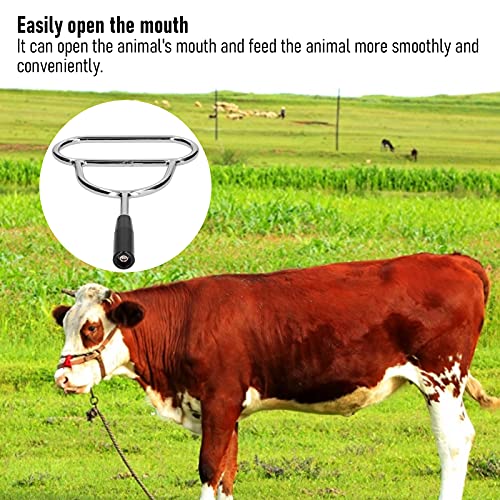 BJAGR Tapón bucal para la cría de Animales, abridor de Boca Veterinario, Lavado gástrico, Accesorios de Suministros para la cría de Animales(S)