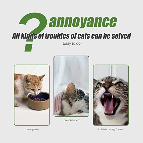 Blu7ive 30 unids varitas gato masticar juguetes naturales palos limpieza dientes gato molar herramientas gatito hierba gatera palo