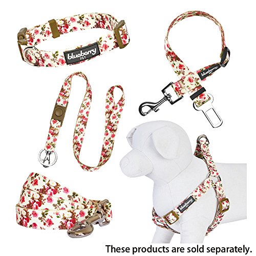 Blueberry Pet - Correa de perro, arnés y collar a juego disponibles por separado