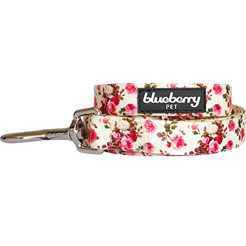 Blueberry Pet - Correa de perro, arnés y collar a juego disponibles por separado
